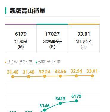 魏牌高山7預(yù)售28.98萬(wàn)起!這是要跟騰勢(shì)D9硬剛到底?