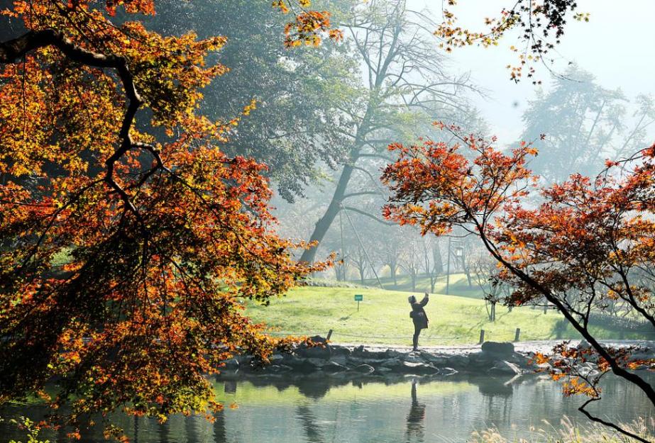 三股冷空氣接連登場 晝夜溫差超10℃ 浙江入冬進程到哪了?